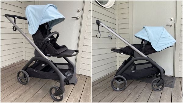 BiT Bugaboo Dragonfly