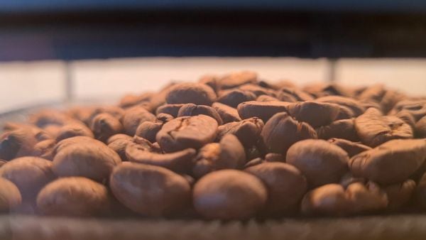 Russell Hobbs Grind and Brew beans