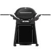 Weber Q 3200N+