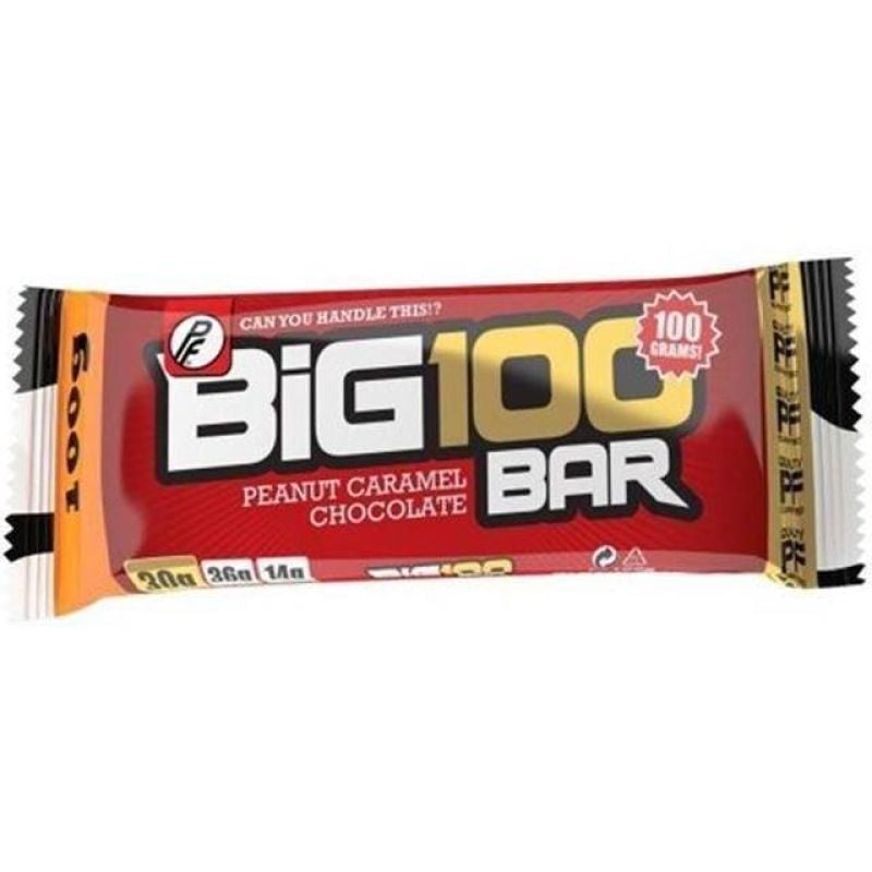 Big 100 Protein Bar