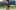 Traningsshorts bast i test